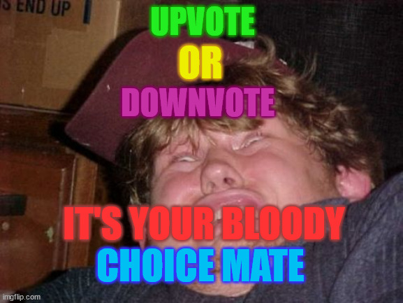WTF | UPVOTE; OR; DOWNVOTE; IT'S YOUR BLOODY; CHOICE MATE | image tagged in memes,wtf | made w/ Imgflip meme maker
