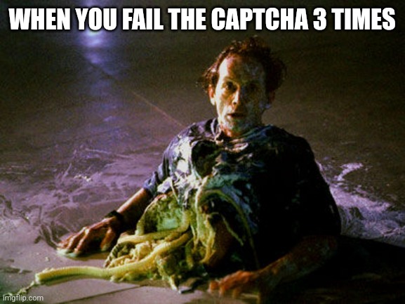 WHEN YOU FAIL THE CAPTCHA 3 TIMES | image tagged in funny memes | made w/ Imgflip meme maker