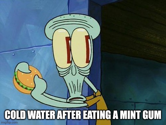 Oh shit Squidward | COLD WATER AFTER EATING A MINT GUM | image tagged in oh shit squidward | made w/ Imgflip meme maker