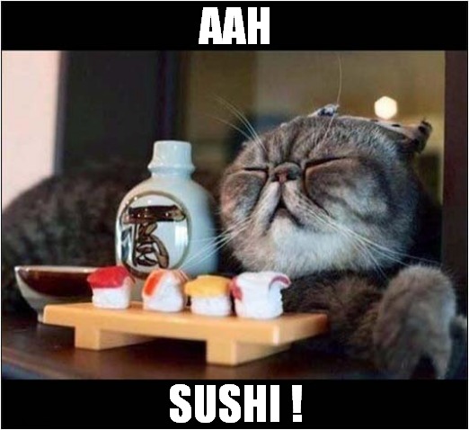 A Typical Japanese Cat ! | AAH; SUSHI ! | image tagged in cats,japanese,sushi | made w/ Imgflip meme maker