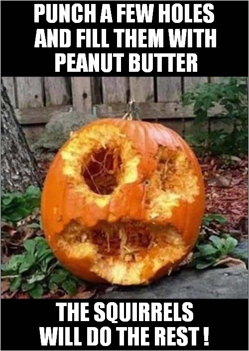 Halloween Pumpkin By Squirrel ! | PUNCH A FEW HOLES
 AND FILL THEM WITH
 PEANUT BUTTER; THE SQUIRRELS WILL DO THE REST ! | image tagged in halloween,pumpkin,squirrel,peanut butter | made w/ Imgflip meme maker