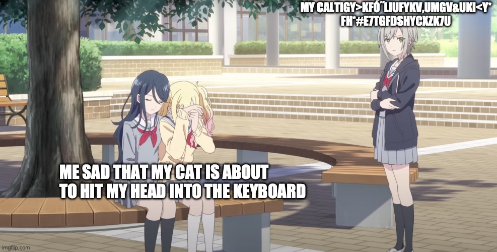 my cat keeps hitting my computer into the keysdfhnwposdz | MY CALTIGY>KFÓ˝LIUFYKV,UMGV&UKI<Y*
FH*#E7TGFDSHYCXZK7U; ME SAD THAT MY CAT IS ABOUT TO HIT MY HEAD INTO THE KEYBOARD | image tagged in shiho is not amused | made w/ Imgflip meme maker