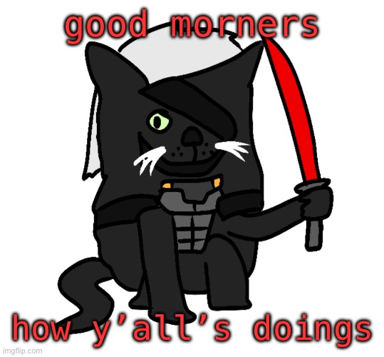 raidencat | good morners; how y’all’s doings | image tagged in raidencat | made w/ Imgflip meme maker