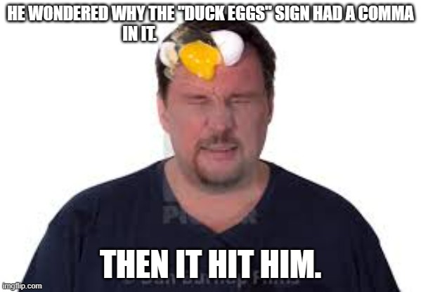 meme by Brad Duck Eggs | HE WONDERED WHY THE "DUCK EGGS" SIGN HAD A COMMA IN IT. THEN IT HIT HIM. | image tagged in humor | made w/ Imgflip meme maker