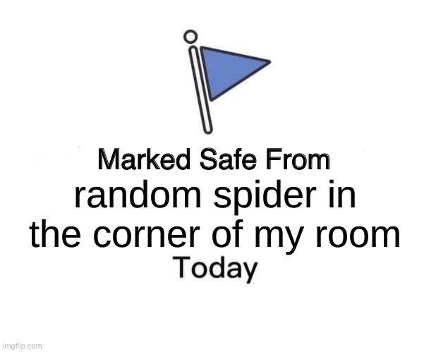 yes i have a spider in my room chillin | random spider in the corner of my room | image tagged in memes,marked safe from | made w/ Imgflip meme maker