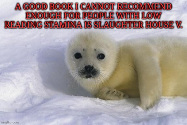 Baby seal | A GOOD BOOK I CANNOT RECOMMEND ENOUGH FOR PEOPLE WITH LOW READING STAMINA IS SLAUGHTER HOUSE V. | image tagged in baby seal | made w/ Imgflip meme maker