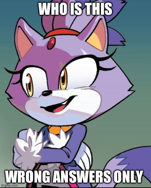 Blaze the cat | WHO IS THIS; WRONG ANSWERS ONLY | image tagged in blaze the cat | made w/ Imgflip meme maker