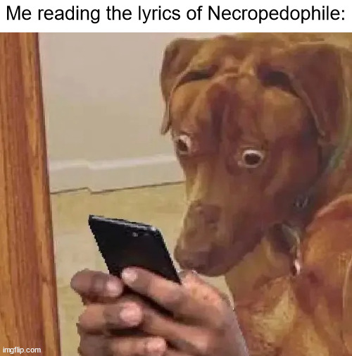 hell nawww | Me reading the lyrics of Necropedophile: | image tagged in dog looking at phone disturbed | made w/ Imgflip meme maker