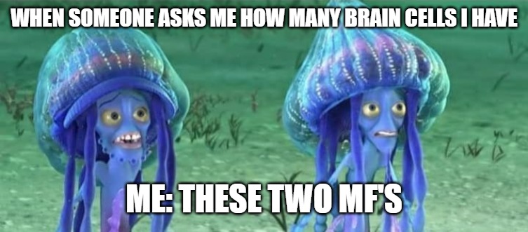 WHEN SOMEONE ASKS ME HOW MANY BRAIN CELLS I HAVE; ME: THESE TWO MF'S | made w/ Imgflip meme maker