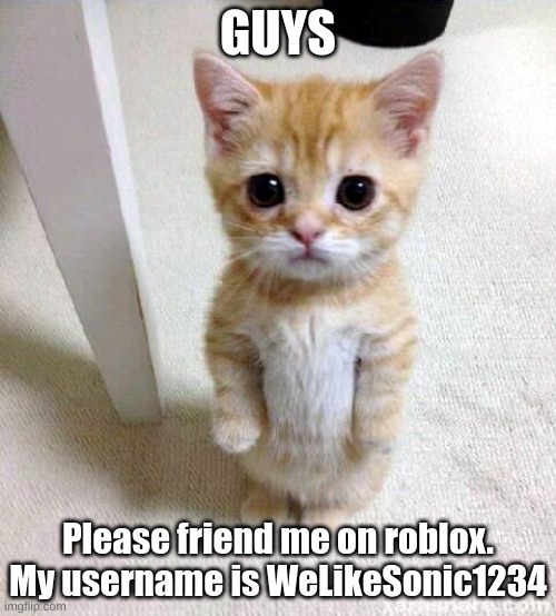 I Need Friends on Roblox! | GUYS; Please friend me on roblox. My username is WeLikeSonic1234 | image tagged in memes,cute cat | made w/ Imgflip meme maker