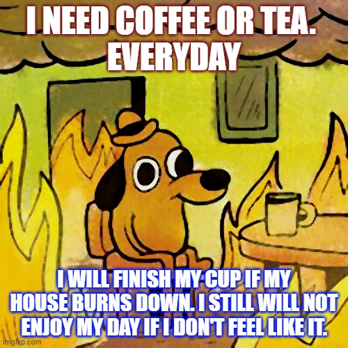 Dog in burning house | I NEED COFFEE OR TEA. 
EVERYDAY; I WILL FINISH MY CUP IF MY HOUSE BURNS DOWN. I STILL WILL NOT ENJOY MY DAY IF I DON'T FEEL LIKE IT. | image tagged in dog in burning house | made w/ Imgflip meme maker