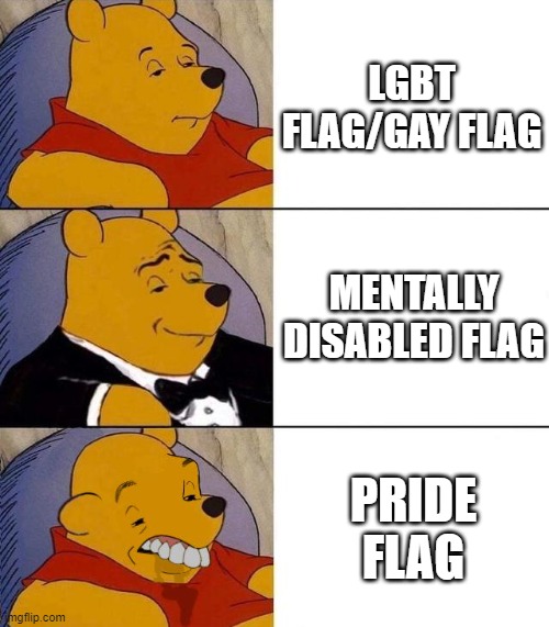 I'm staying anonymous bc I have some LGBT followers and if they would look in the followed users stream this stream would be a b | LGBT FLAG/GAY FLAG; MENTALLY DISABLED FLAG; PRIDE FLAG | image tagged in best better blurst | made w/ Imgflip meme maker