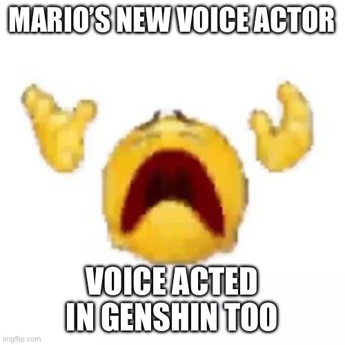 this is so sad | MARIO’S NEW VOICE ACTOR; VOICE ACTED IN GENSHIN TOO | image tagged in scream | made w/ Imgflip meme maker