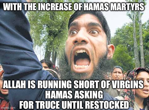 Virginity of Hamas | WITH THE INCREASE OF HAMAS MARTYRS; ALLAH IS RUNNING SHORT OF VIRGINS 
HAMAS ASKING FOR TRUCE UNTIL RESTOCKED | image tagged in you offended allah,hamas,memes,funny | made w/ Imgflip meme maker
