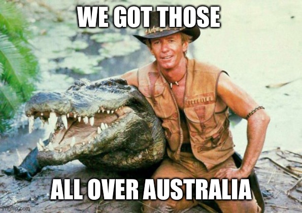 Crocodile Dundee Paul Hogan | WE GOT THOSE ALL OVER AUSTRALIA | image tagged in crocodile dundee paul hogan | made w/ Imgflip meme maker