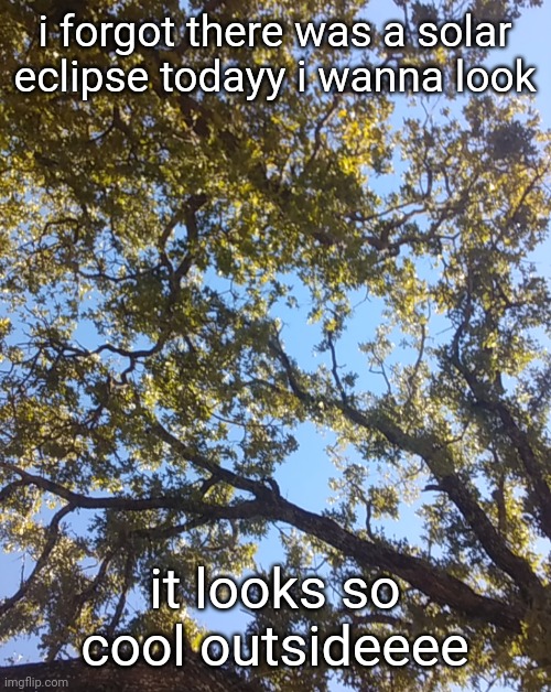 my eye hurt | i forgot there was a solar eclipse todayy i wanna look; it looks so cool outsideeee | made w/ Imgflip meme maker