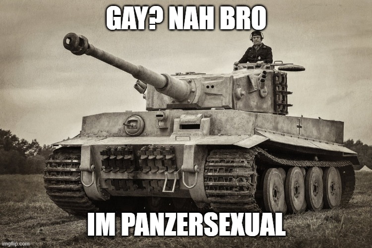 auf der h- | GAY? NAH BRO; IM PANZERSEXUAL | image tagged in panzer iv tiger i | made w/ Imgflip meme maker