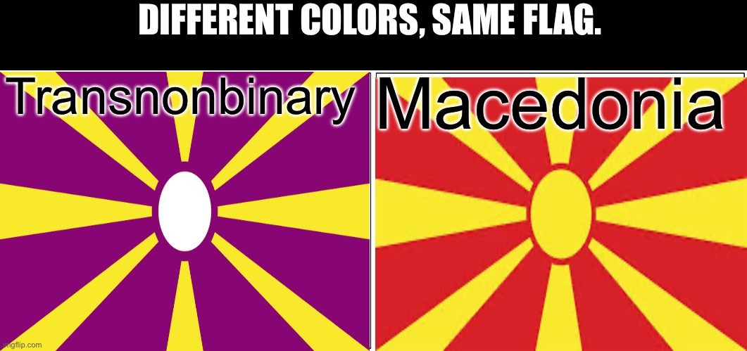 What a coincidence. | DIFFERENT COLORS, SAME FLAG. Macedonia; Transnonbinary | image tagged in memes,blank comic panel 2x1,lgbtq | made w/ Imgflip meme maker