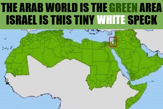 the arab world vs israel Blank Meme Template