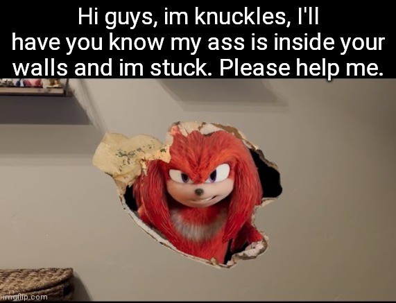 Help him | Hi guys, im knuckles, I'll have you know my ass is inside your walls and im stuck. Please help me. | image tagged in i am in your walls | made w/ Imgflip meme maker