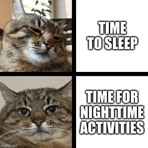 Time for nighttime activities | TIME TO SLEEP; TIME FOR NIGHTTIME ACTIVITIES | image tagged in stepan cat,time,sleep,night,problems | made w/ Imgflip meme maker