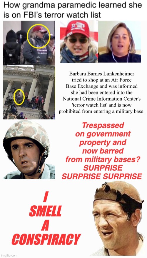Surprise | image tagged in domestic terrorists,treason,idiot skull,losers losing,complicit | made w/ Imgflip meme maker