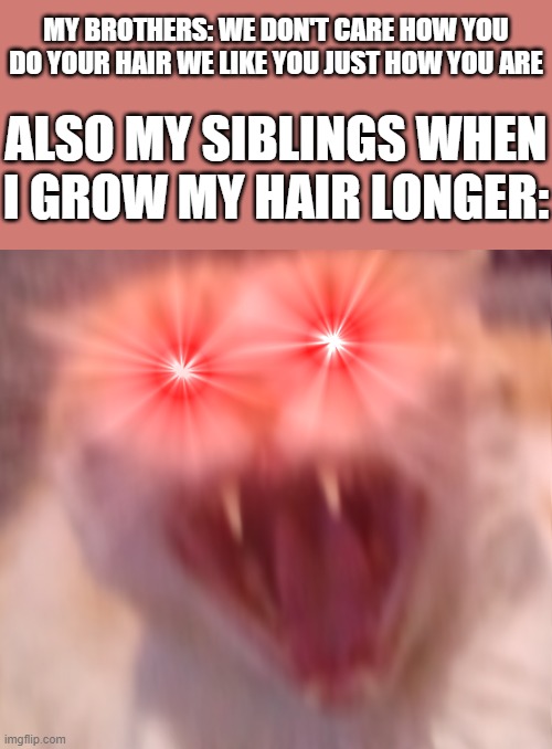 This says it all - look u can't just tell people u like them just the way they are and then just force them to change it for u | MY BROTHERS: WE DON'T CARE HOW YOU DO YOUR HAIR WE LIKE YOU JUST HOW YOU ARE; ALSO MY SIBLINGS WHEN I GROW MY HAIR LONGER: | image tagged in angry cat,scumbag families,siblings,brothers,long hair,relatable memes | made w/ Imgflip meme maker