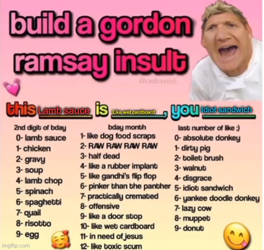 Gordon Ramsey insult | Idiot sandwich; Lamb sauce; Like wet cardboard | image tagged in gordon ramsey insult,wtf,memes | made w/ Imgflip meme maker