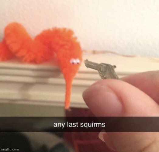 Any last squirms | image tagged in any last squirms | made w/ Imgflip meme maker