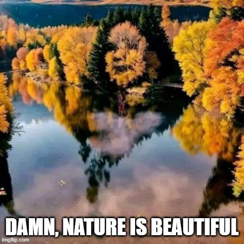 When You See It | DAMN, NATURE IS BEAUTIFUL | image tagged in sex jokes | made w/ Imgflip meme maker