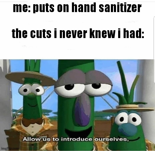 Allow us to introduce ourselves | me: puts on hand sanitizer the cuts i never knew i had: | image tagged in allow us to introduce ourselves | made w/ Imgflip meme maker