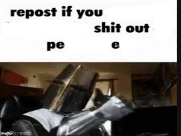 Repost if you shit out pee | image tagged in repost if you support beating the shit out of pedophiles | made w/ Imgflip meme maker