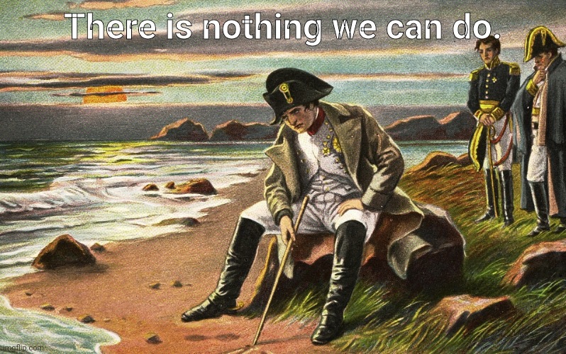 Napoleon | There is nothing we can do. | image tagged in napoleon | made w/ Imgflip meme maker