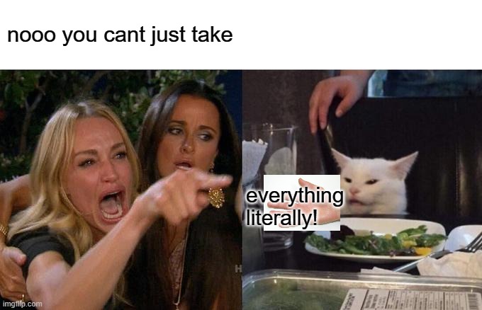 i dont know what to name this meme | nooo you cant just take; everything literally! | image tagged in memes,woman yelling at cat | made w/ Imgflip meme maker