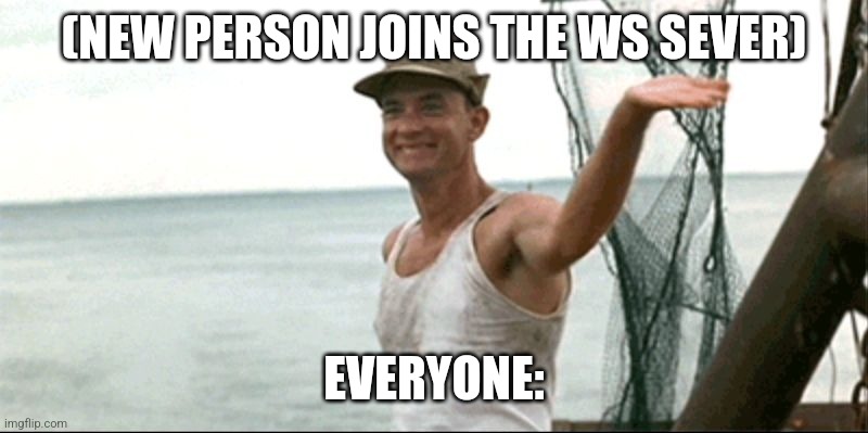 Facts | (NEW PERSON JOINS THE WS SEVER); EVERYONE: | image tagged in forest gump waving | made w/ Imgflip meme maker