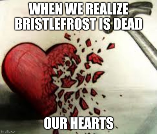 sad | WHEN WE REALIZE BRISTLEFROST IS DEAD; OUR HEARTS | image tagged in broken heart | made w/ Imgflip meme maker