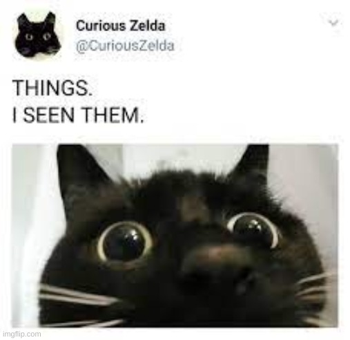 things i seen them Blank Meme Template