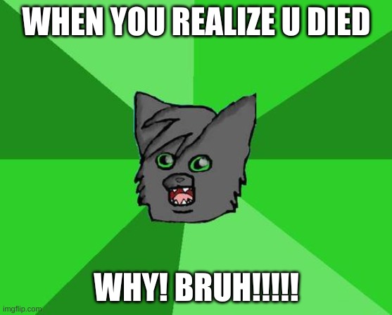 Warrior cats meme | WHEN YOU REALIZE U DIED; WHY! BRUH!!!!! | image tagged in warrior cats meme | made w/ Imgflip meme maker
