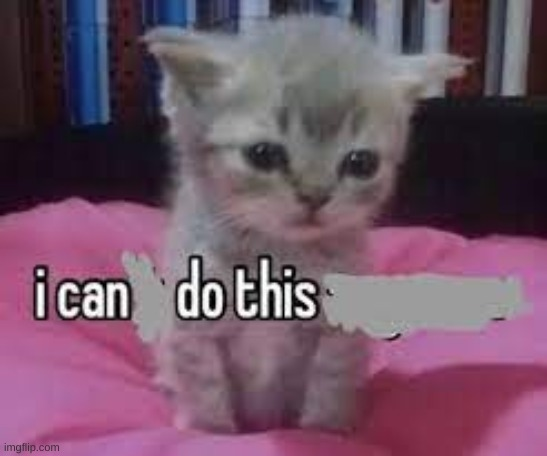 i can do this Blank Meme Template