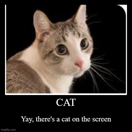 CAT | Yay, there's a cat on the screen | image tagged in funny,demotivationals | made w/ Imgflip demotivational maker