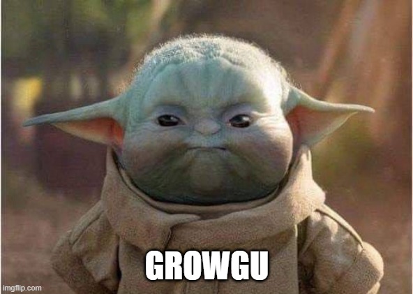 Name Change | GROWGU | image tagged in star wars,grogu | made w/ Imgflip meme maker