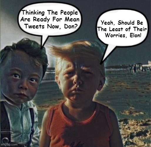 With Joe's Mishandling of EVERYTHING, People Will Look Forward to Trump's Mean Tweets! | Yeah, Should Be 
The Least of Their 
Worries, Elon! Thinking The People 
Are Ready For Mean 
Tweets Now, Don? | image tagged in politics,donald trump,elon musk,mean tweets,political humor,joe biden worries | made w/ Imgflip meme maker
