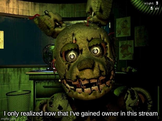 springtrap | I only realized now that I've gained owner in this stream | image tagged in springtrap | made w/ Imgflip meme maker