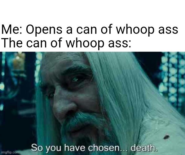 Can of whoop ass | Me: Opens a can of whoop ass
The can of whoop ass: | image tagged in so you have chosen death | made w/ Imgflip meme maker