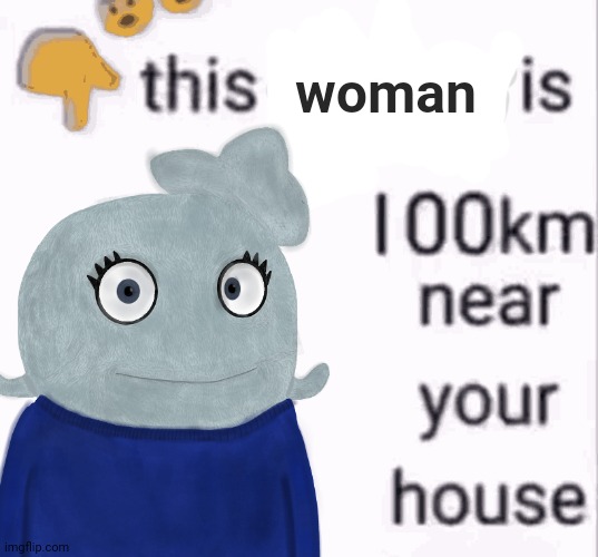 Woman | woman | image tagged in this person is 100 km away from your house | made w/ Imgflip meme maker