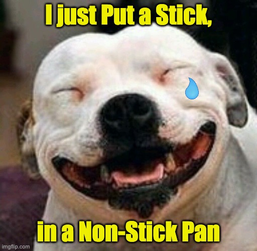 Happy Dog Joke | I just Put a Stick, in a Non-Stick Pan | image tagged in bad pun dog,dog,stick,funny | made w/ Imgflip meme maker