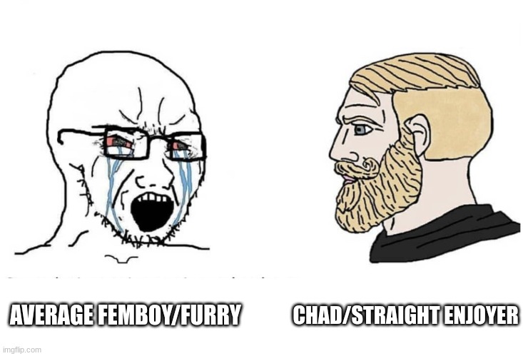 Don't view if Offensive (please) | AVERAGE FEMBOY/FURRY; CHAD/STRAIGHT ENJOYER | image tagged in soyboy vs yes chad | made w/ Imgflip meme maker