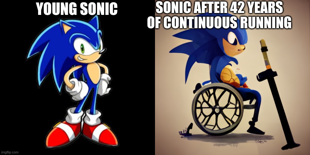 Sonic in retirement | SONIC AFTER 42 YEARS OF CONTINUOUS RUNNING; YOUNG SONIC | image tagged in memes,you're too slow sonic | made w/ Imgflip meme maker