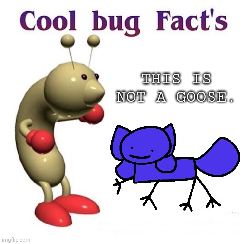 Cool Bug Facts Api | THIS IS NOT A GOOSE. | image tagged in cool bug facts api,goose,facts | made w/ Imgflip meme maker