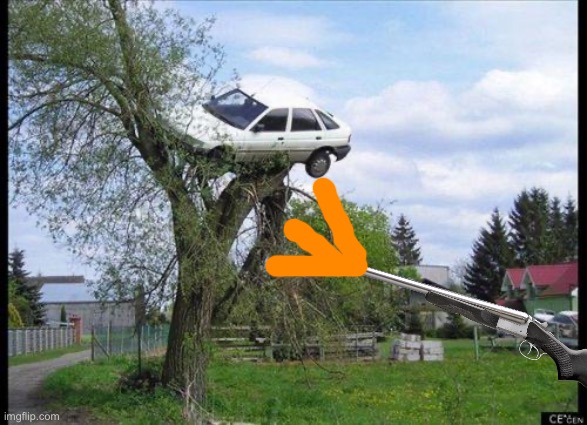 car in tree | image tagged in car in tree | made w/ Imgflip meme maker
